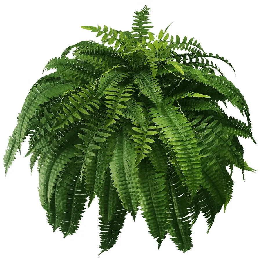 🌿UV Resistant Lifelike Artificial Boston Fern